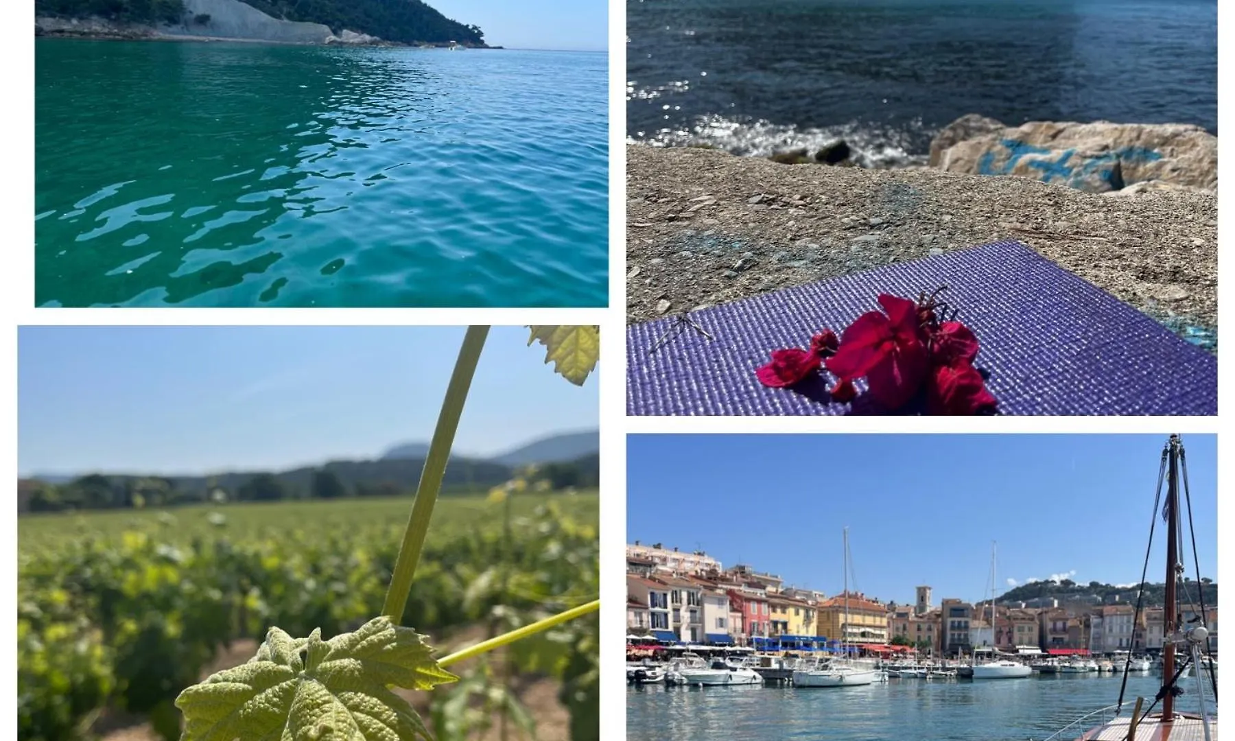Villa Villavos- La Vassal Cassis